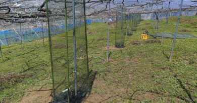 5年後に向けて-Vol.2 5年後に向けて-Vol.2